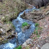 bb1eeec7566f02d7086552101ca7f710