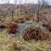 bb424bd3e3653d6d1458a1f474bb1f94