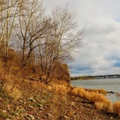 bc57cb609d12d1f0e3a0bff68a431572