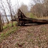 bd3d7fef738e7a0427432fbf17b8eae8