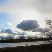 bfa45086ffb00e59ff280666cd1ceeff