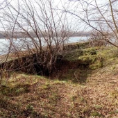 bfe65b1cb5d88e7fb22a72ec8dbedcd2