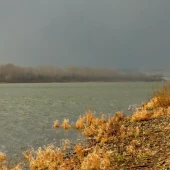 c14f8f72899640e8f8f5e3ee1288dcbe