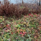 c19980cc43f117b0bfd07fdfce677349