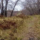 c3360b3670845fd10abb49b9c217164f