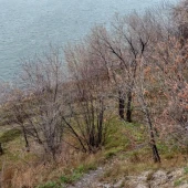 c396c7c98a4951ffcbbf869b7b8aff11