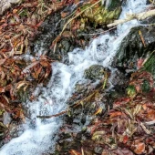 c41e8f372260def92f0290abc2759313