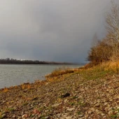 c94795183a68e9859208d8c2f7fcd236