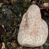 cb1db16af6e2ce2e75b5d54fc5cc15e0