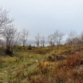 ccb1fdd4e4d748d99eb37ad4b7f041fb