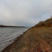 cd254306ec50faa4bad71c7a34eaaf93