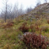 ce2192402ff963b7849da1ea953b5a0d