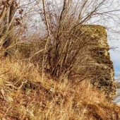 cfe9029cb24c6d8bbb510eae0d2a17ac