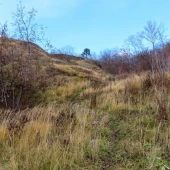 d1b79455f3fc96b6ef4f115ab256dbd7