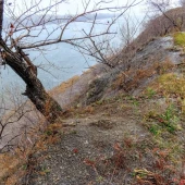 d2d43191f3978109761ef8679fd6cb0d