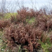 d8d4cb125e4826b6dea38bedbb8db525