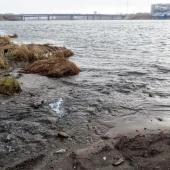 d95544af1da1ce10ef0c993c5a8672d0