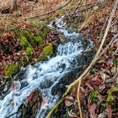 da43ec15e4740f263bb89245322280ae