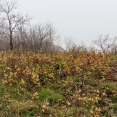 dcb129b02b4b0423bc2f8648b71b547b