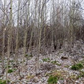 e007539d89356f048ffc551656cdd2f6