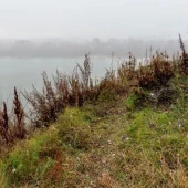 e3149d33aba473a5c411c82319ed34aa