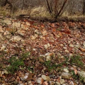 e33e322847063c7c436b24a0e649ace9