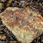 e64689494ceaf82873349e80eaf82bbe