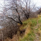 e74e1f7a11d8259cb01b9ede559b89c5