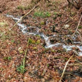 e7bf4fd6ce2f9bbd5e7ddeae93c34512