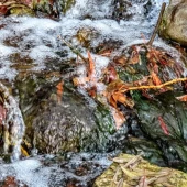 e922c1961c2066b955cf70ad4335703b