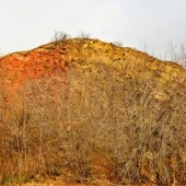 ebd9f733a67bcc0a9598cf191bf56e23