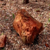 ec54a521bcb854f1ce7b79ca785ef91d