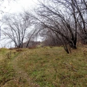 ec84004dacfadd0c0e9c4e15162223ef