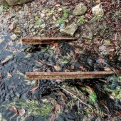 ed282ba92206a1e3057161079033ceae