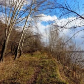 edbff33cf0c15dce842f5fab35172707