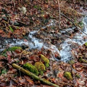 f035c86d30b599eb5f2a3af66d1d240f