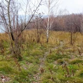 f0d8c8b9ce6a7c4cea40709c54273332