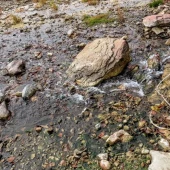 f176fdfdc476a0803e12b019f505ad79