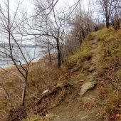 f4b78a6f22cf3e484296557c87d1f5eb