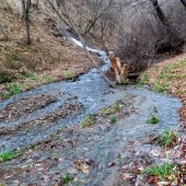 f6027fae61150c5581db8aed3cd6904b