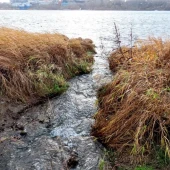 f7ebc698797e96dff3f81c691a82ba0b