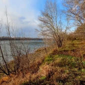 f8469d5d19cbc06323e39558d0dad1d6