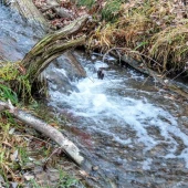 fa7204c419acf942b4b197ff3b995643