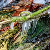 ff118ffca3544d80ace074ad68efc1a4