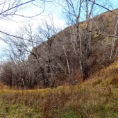 ff675f95419e6b79c0cd87e5f6cdb3fb