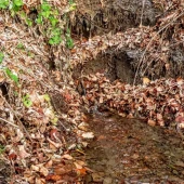 ff728a8f04602580991e74e431cb0aa8