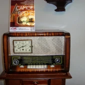 e084ad5b85869375ff61a48de6548c6d