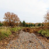 0e84240220eab56c288426422694679b