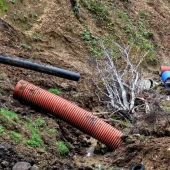 1734a80a4e7454db57a2cfc1a1b6e563