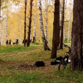 1a43ca3657776224f6e9079597546a0b